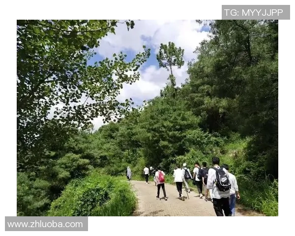 南京篮球队的意识提升与团队精神建设探讨